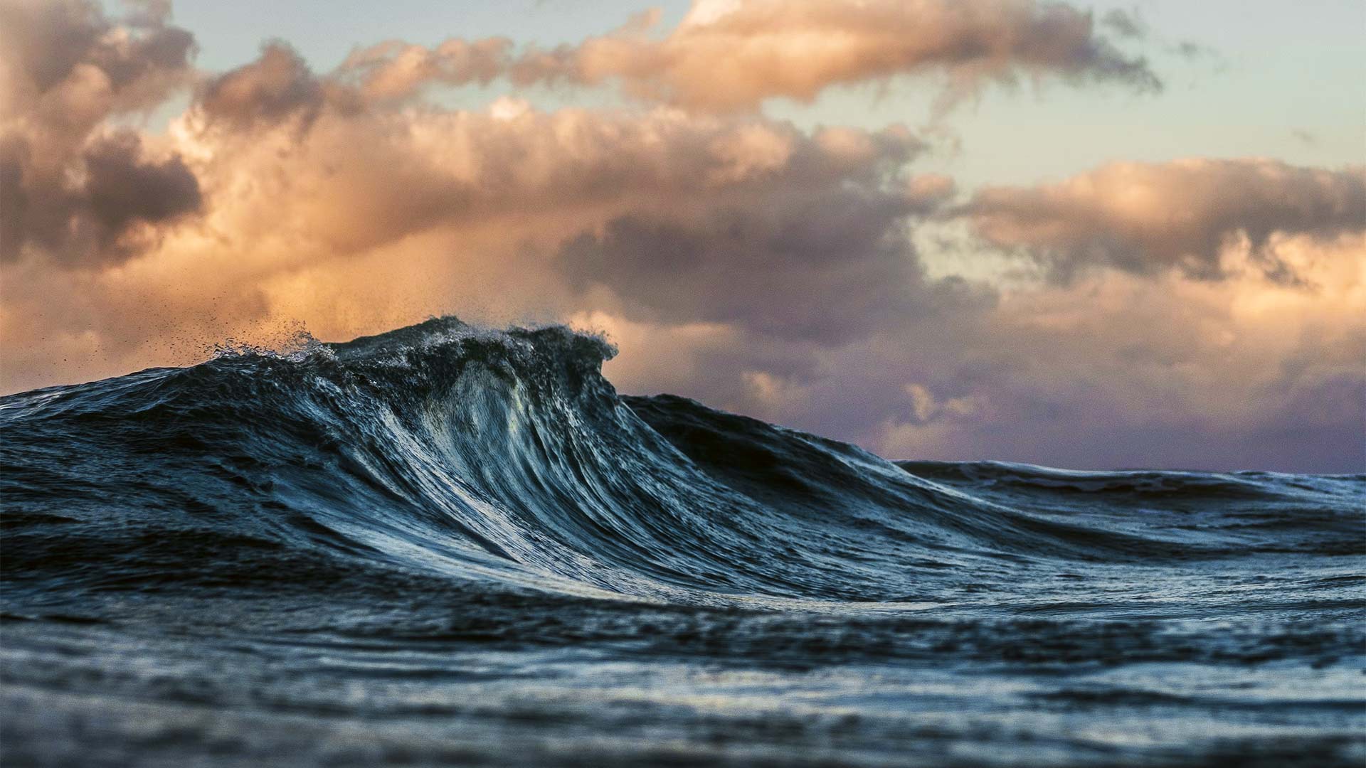 waves2.jpg